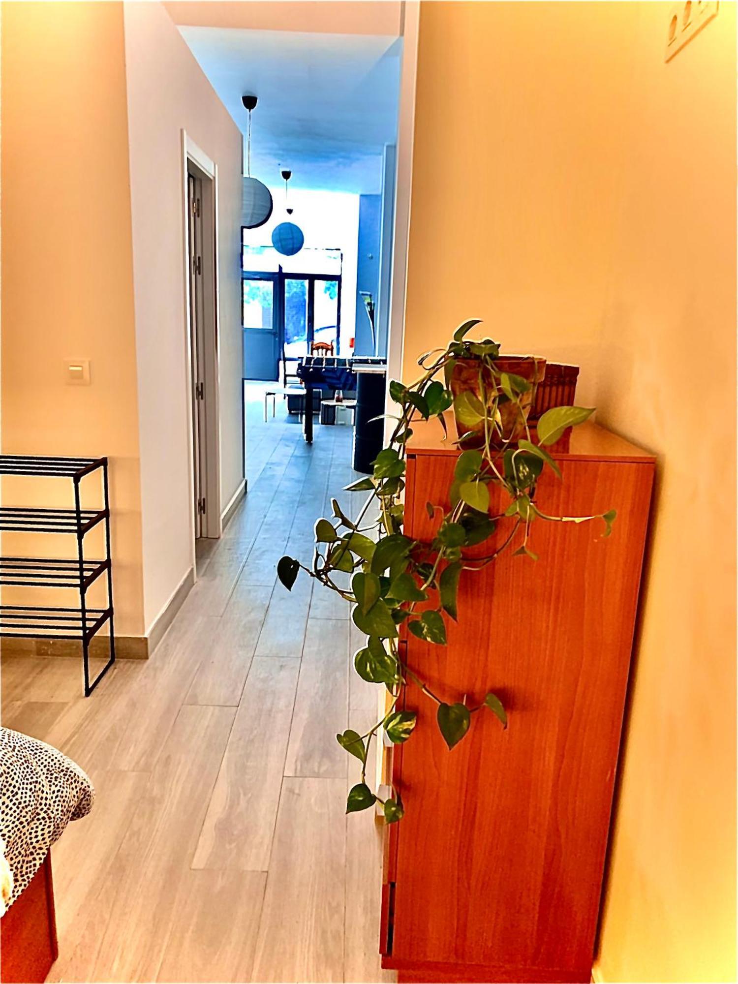 Violeta Loft A With Chill Out Terrace Sevilla エクステリア 写真